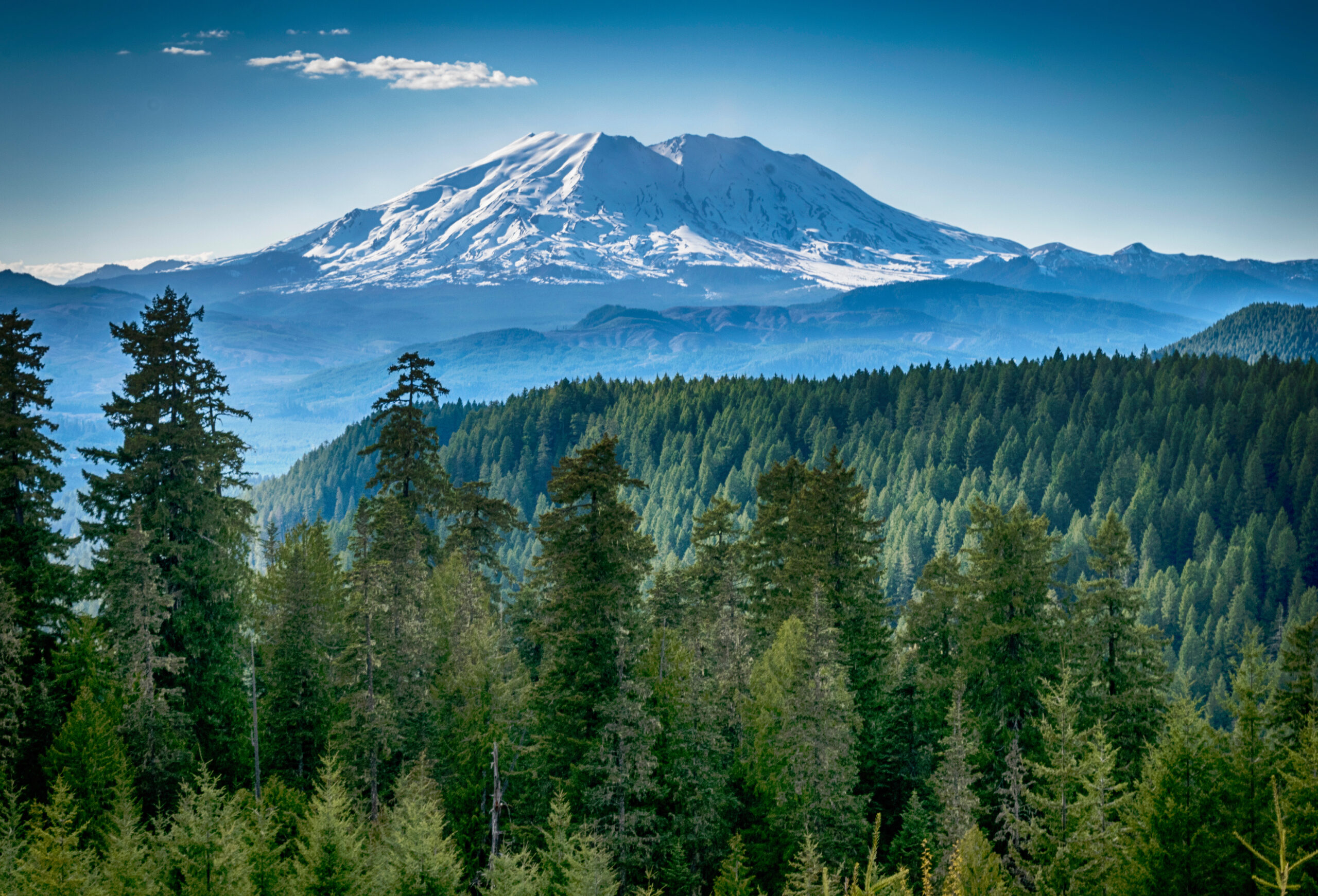 Mount Rainier